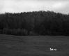 Field Extending to Hill