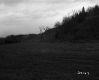 Field by Hill