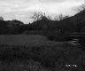 Field by Small River