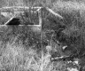 Wooden Box in Grass