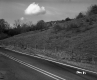 Fence between Road and Field