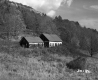 House on Grassy Hill