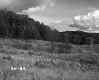 Field Extending to Trees