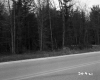 VT Route 30 in Castleton 4