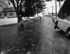 Girl Sledding Down Road on VT 12 in Worcester