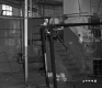 Cabot Farmers' Cream Coop