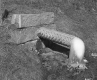 Frozen Pipe off of I-89 Northbound in Middlesex