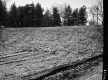 View of 100B From Gully