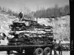 Car Crushing Site In Richmond, Men Attaching Cables Around Stacked Crushed Cars