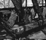 Burned Bridge in Woodstock, Close-up View of Supports