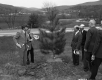 Tree Planting in Montpelier,