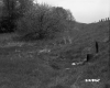 Ditch off of US 4 in Castleton