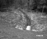 Culvert off of Road in Castleton with Trough
