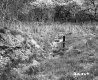 Wood Pole Near Wetland Area and Rocky Area in Castleton
