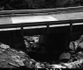 Concrete Bridge on T.H. 12 in Duxbury, Looking Easterly