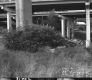 State Aid Road 2 in Waterbury Under I-89 Overpass Bridges, SW at River