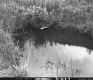 Drainage Site off of I-89 in Swanton, 