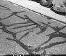 US Route 2 Paving in Middlesex, Close Up View of Chip Seal