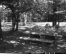 I-89 North Rest Stop in Williston, Picnic Area