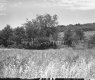 Farmland Off of VT Route 15 in Jericho