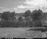 Farmland Off of VT Route 15 in Jericho