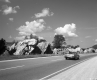 Wildflowers on I-89 Median in Waterbury, Looking Westerly with Rocky Outcrops