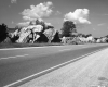 Wildflowers on I-89 Median in Waterbury, Looking Westerly with Rocky Outcrops 2