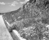 Wildflowers Off of I-89 Northbound Shoulder, Looking Westerly with Rocky Outcrops