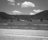 Wildflower Blooms off of I-89 Southbound, Looking Northerly at Historic Barn