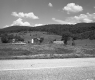 Wildflower Blooms off of I-89 Southbound, Looking Northerly at Farm and Dwelling Buildings