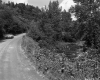 S.A. Road 1 in Victory, Looking Northeasterly