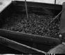 Container of Asphalt in Barre