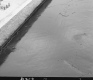 Spread Pavement