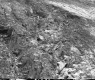 Dirt Slope