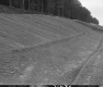 Dirt Slope