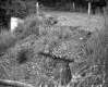 Slope by Dirt Road