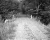 Dirt Road with Wood Poles