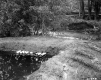 Sleeping Basin Outlet