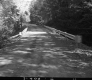 Dirt Road through Trees