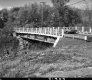 Bridge Surrounded by Trees and Plants