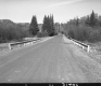 Dirt Road through Trees