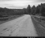 Dirt Road through Trees