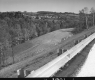 Grassy Slope by Road