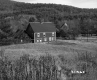 House by Field