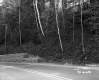 Stone Wall by Paved Road
