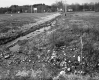 Creek by Paved Road