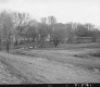 Field with Leafless Trees