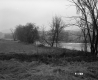 Field by River