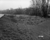 Thick Grass by Road