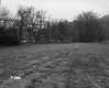 Grassy Field